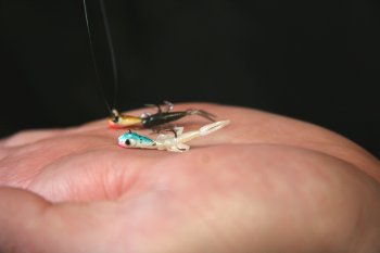 https://www.northlandtackle.com/wp-content/uploads/microplastics.jpg