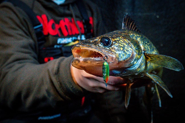 Mille Lacs Ice Walleyes