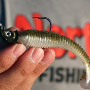 Mimic Minnow Swim Jig