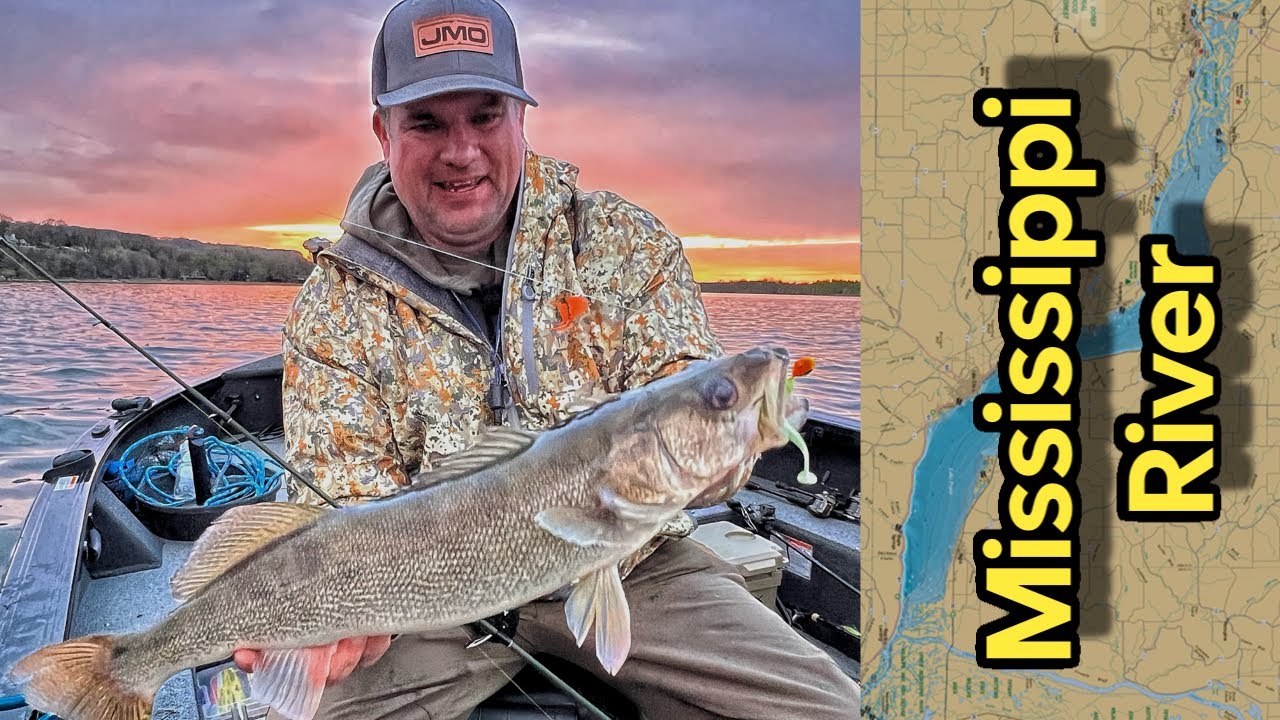 Post Spawn Mississippi River Walleyes
