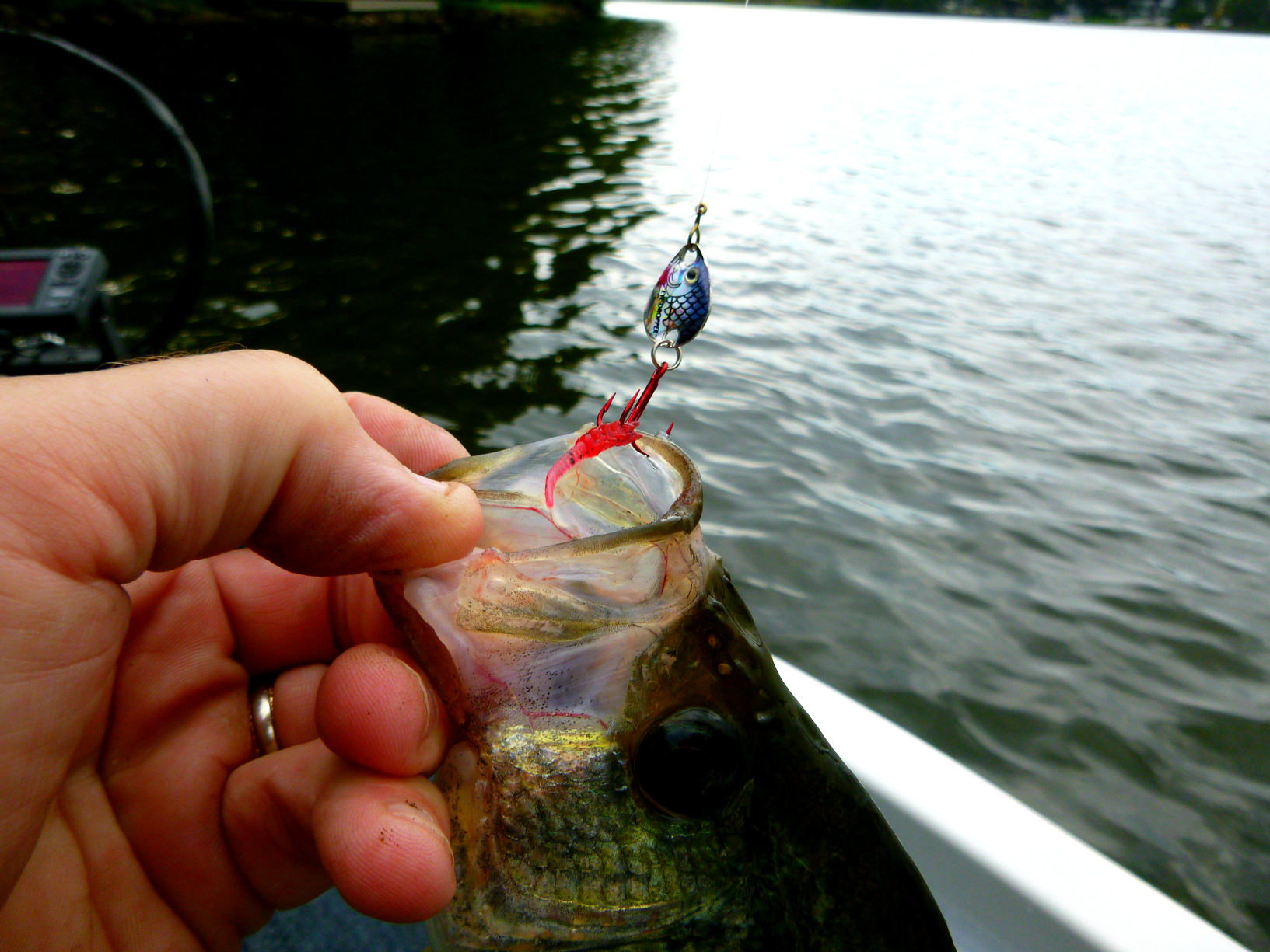 A fisherman holding up a crappie he caught on a spoon.