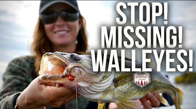 New Go To Walleye Jig