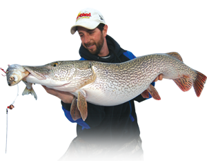 Northern Pike caught on a Northland Tackle Predator Rig