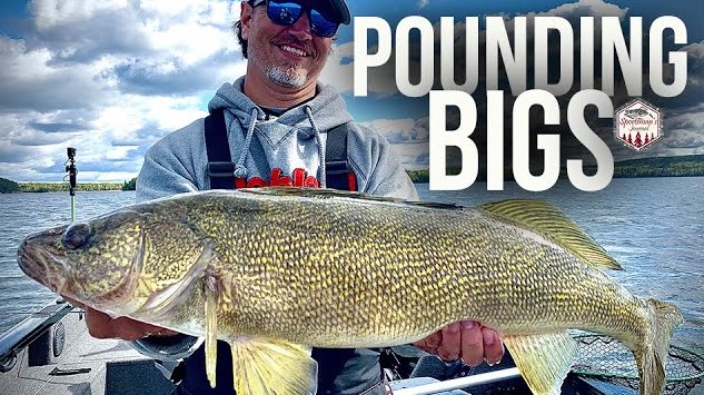 Jigging Puppet Minnow Walleyes
