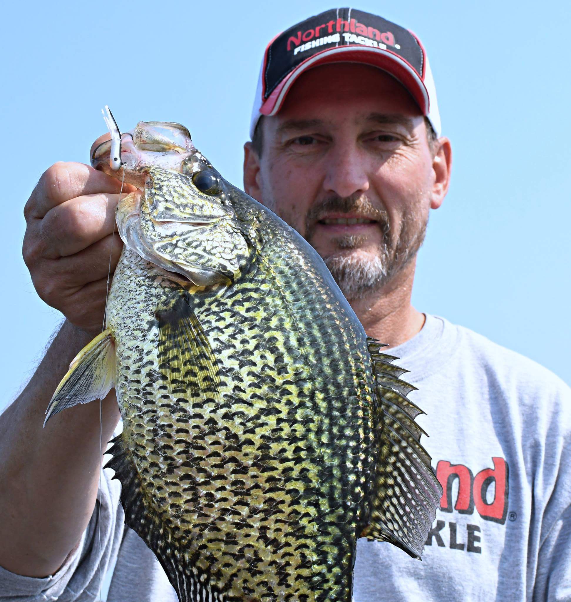 Fisherman holding up a crappie he caught on a soft plastic tube bait.