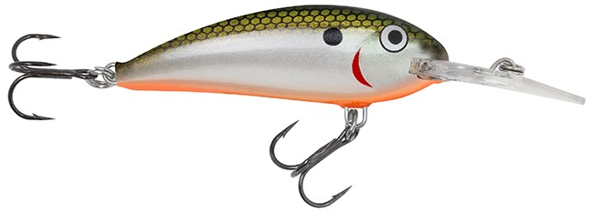 Rumble Shad (Tennessee Shad Orange Belly)