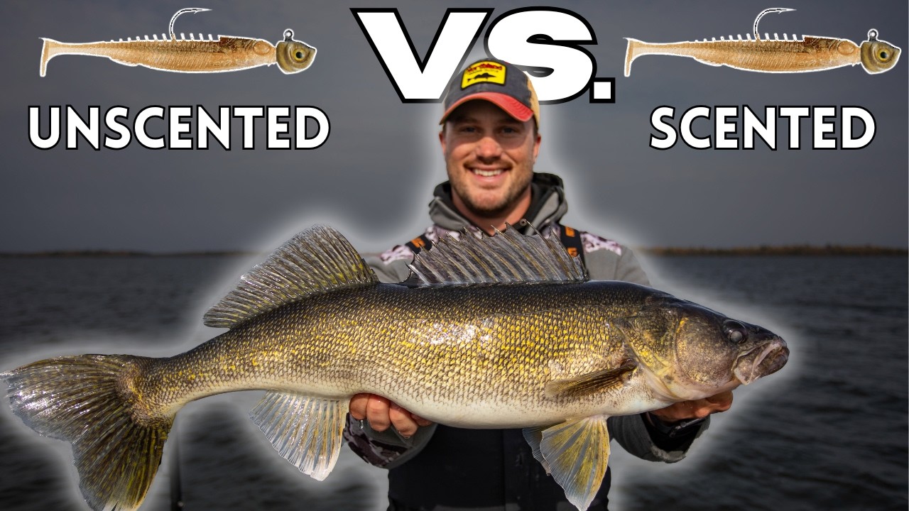 Does Scent Help Catch Fish