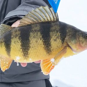 Prairie Pothole Region (Fishing the Dakotas)