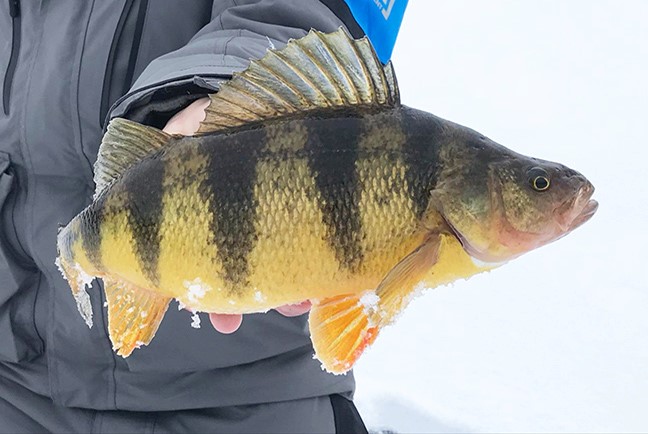 Prairie Pothole Region (Fishing the Dakotas)