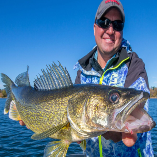 Tony Roach catching fall walleyes on a jig