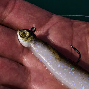 Bassmaster Winning Smeltinator Jig