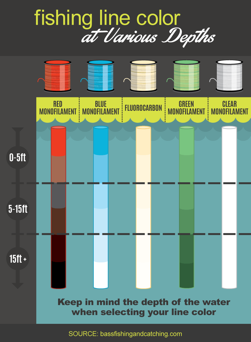 Graphic showing what different fishing line looks like in the water