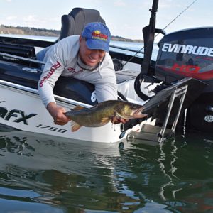 june walleye