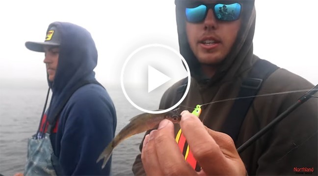 New Weedless Walleye Jig