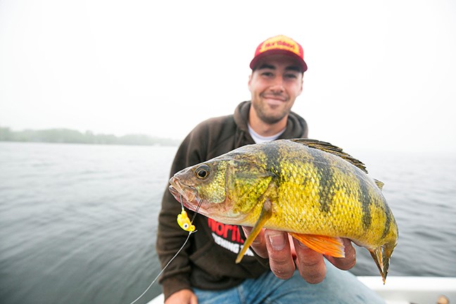 New Weedless Perch Jig