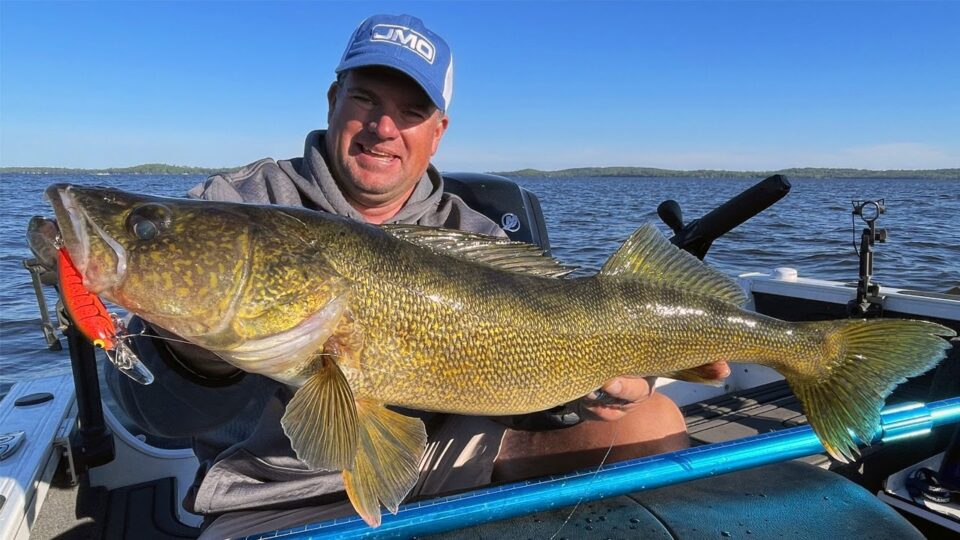 Complete Leadcore Walleye Trolling Guide