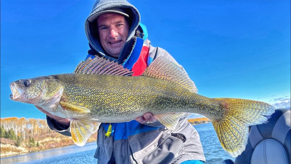 Late Fall Walleye Fishing on Tobin Lake